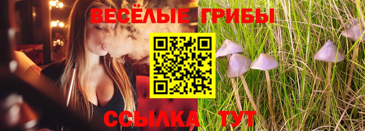 Псилоцибиновые грибы MAGIC MUSHROOMS Верхняя Салда