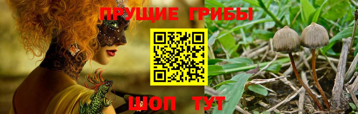 Галлюциногенные грибы GOLDEN TEACHER  Вход с VPN  Верхняя Салда  сколько стоит  Галлюциногенные грибы мицелий 